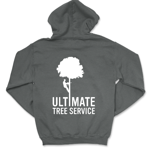 Sweat à capuche Heavy Blend™ - 18500