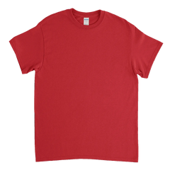 Heavy Cotton™ T-Shirt - 5000 - Print Me Shirts