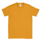 Softstyle® T-Shirt - 64000, Print Me Shirts