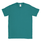 Softstyle® T-Shirt - 64000, Print Me Shirts