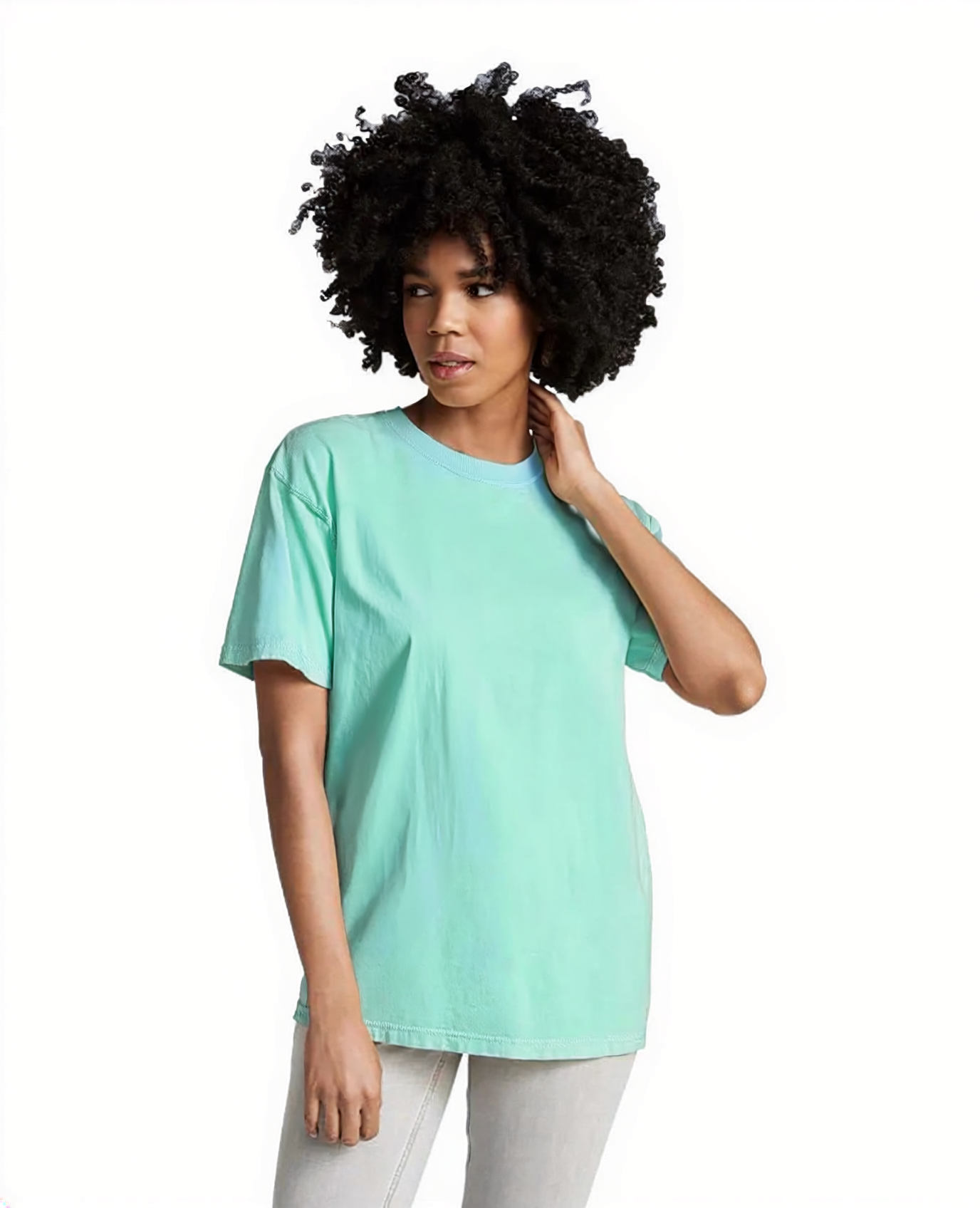 Garment-Dyed Heavyweight T-Shirt - 1717